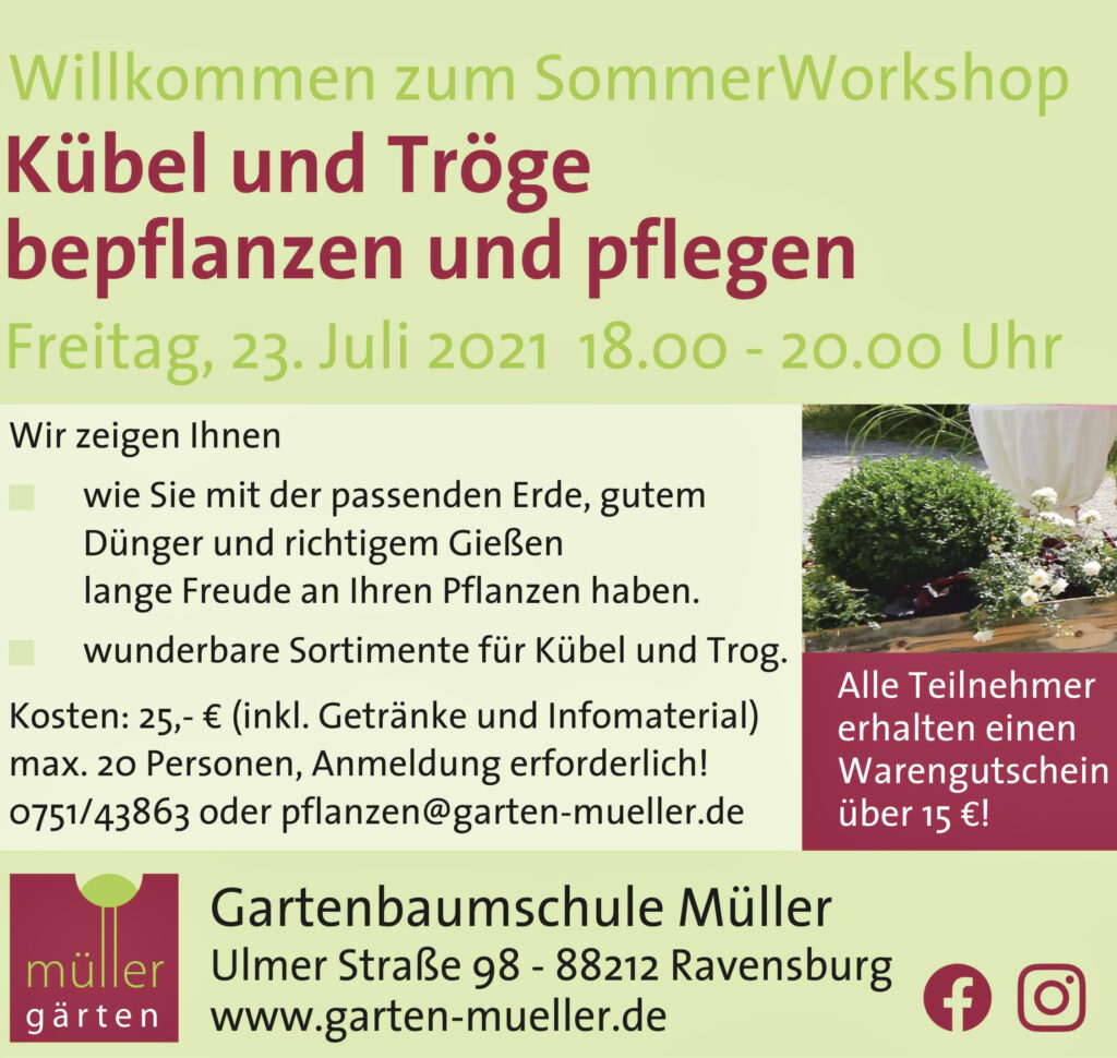 Sommerworkshop Kübel - und Trogbepflanzung
